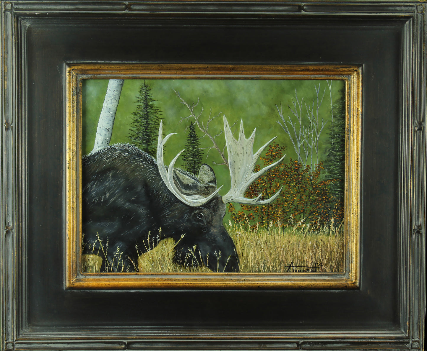 The Moose is Loose