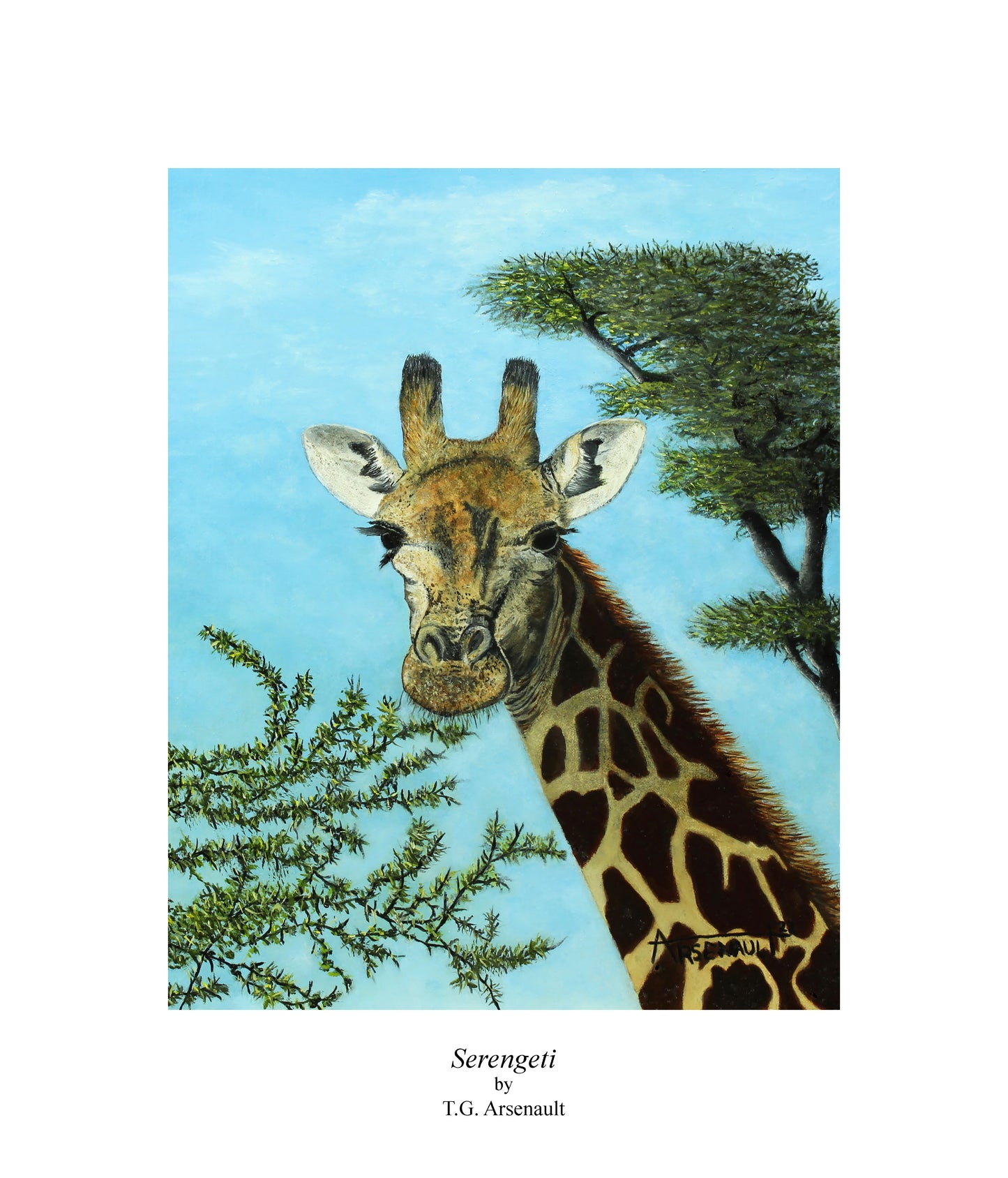Serengeti