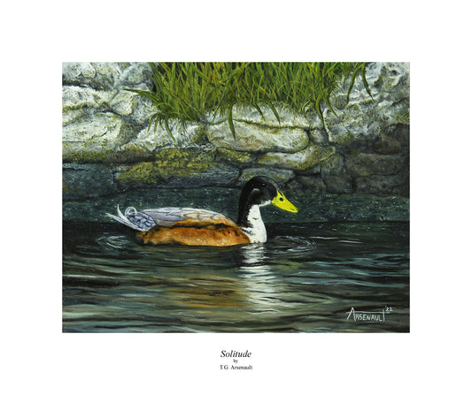 "Solitude" is a 14 x 11 oil painting on a Belgian linen panel. This duck looks so at peace with its surroundings and happy. Alone. Completely content with its present moment. Giclee Archival Prints available: $30 USD Note: Print size is 14 x 12 with the white border (includes free shipping in the U.S.)